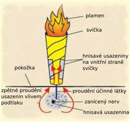 Plameny svíčky se nepálí kůže člověka